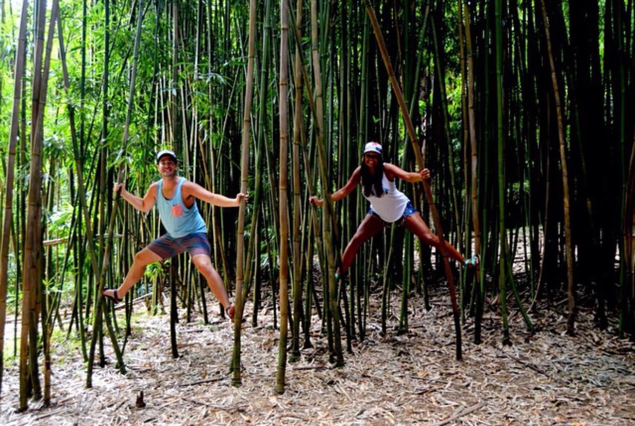 cariloha-interns-bamboo-forest