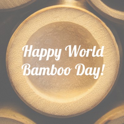 5 Reasons to Celebrate World Bamboo Day