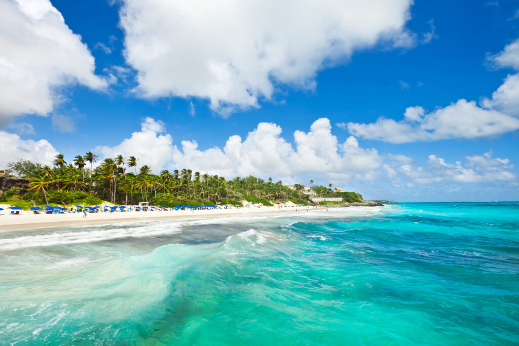 Get the Inside Scoop on Cariloha Barbados