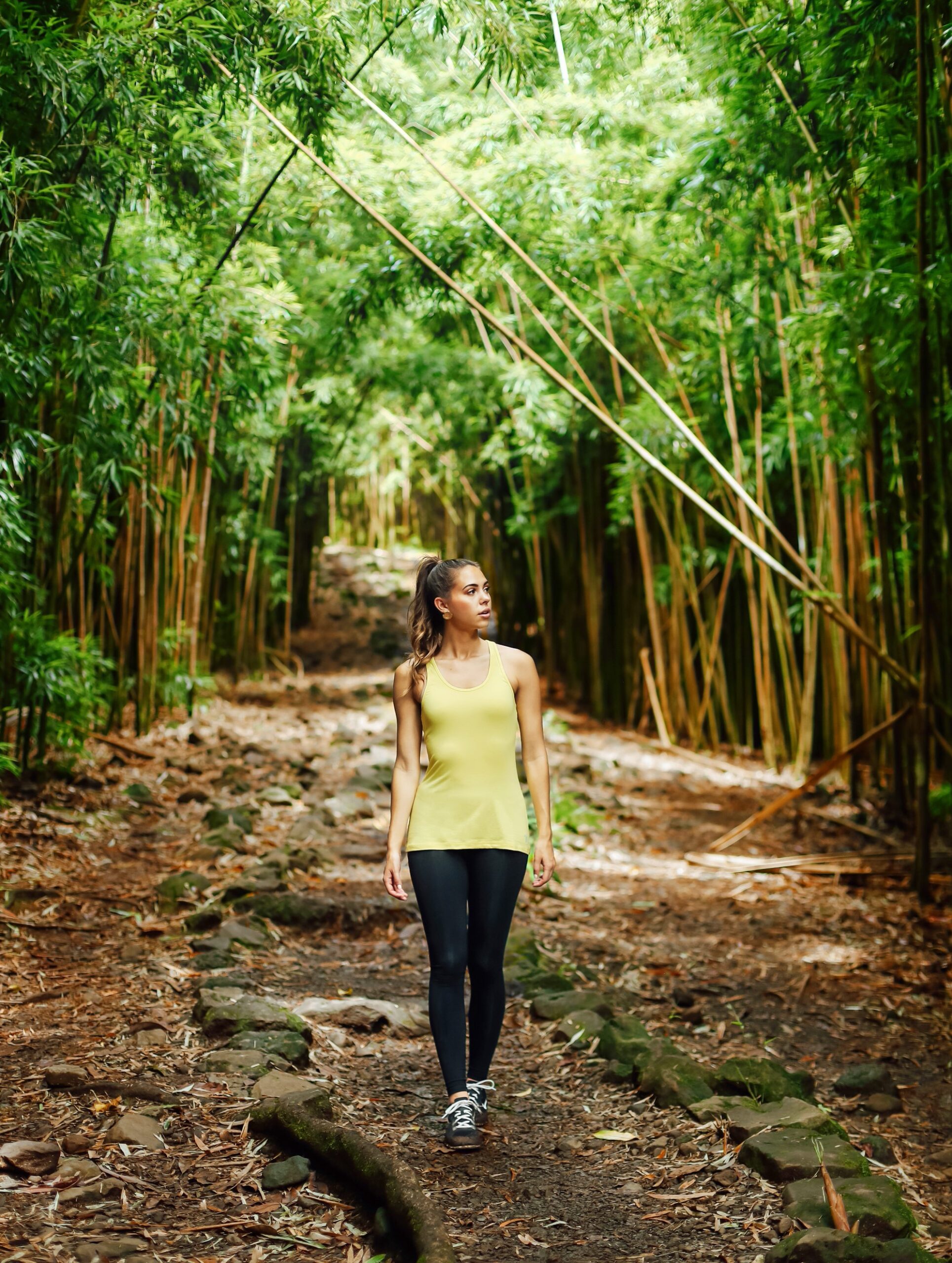 cariloha-bamboo-forest-towner-plastic-free